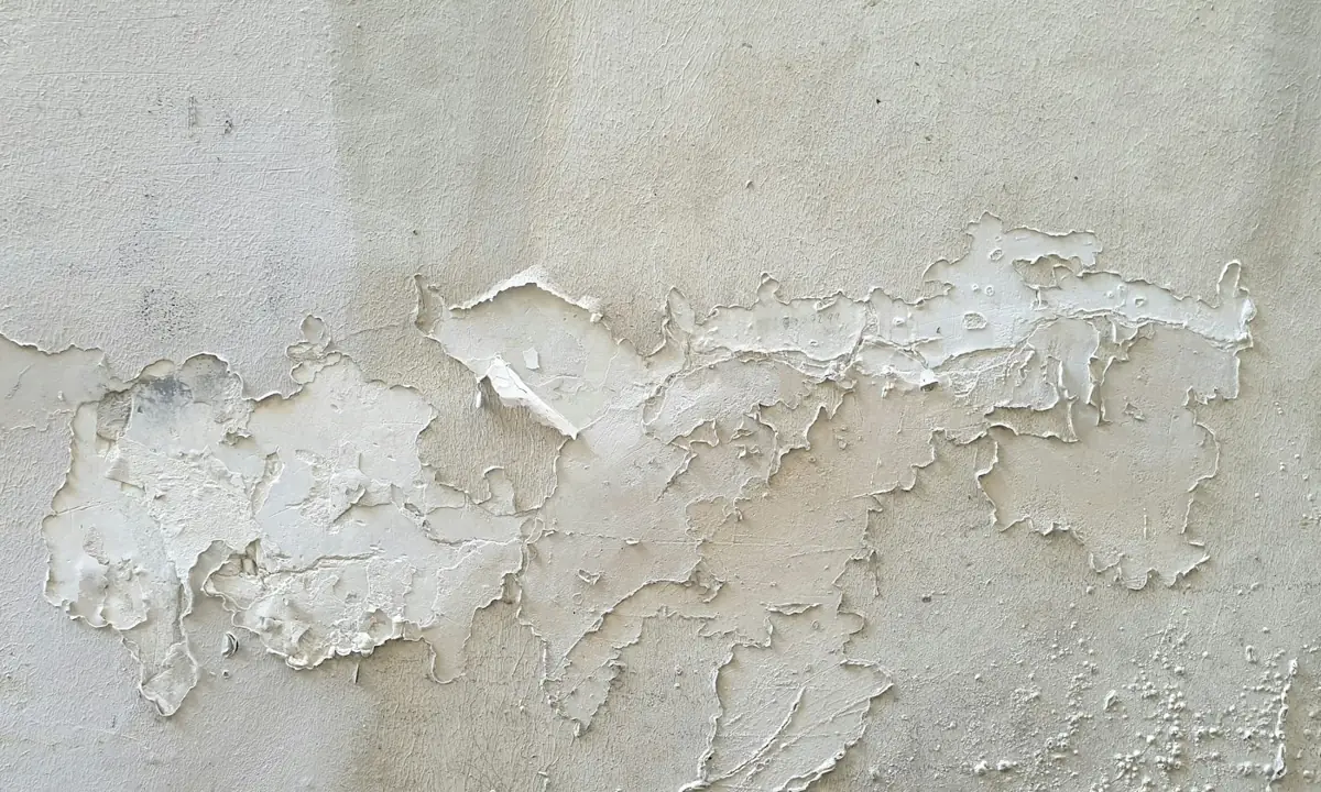 Macchia di umidità sul soffitto: cosa fare prima di ridipingere